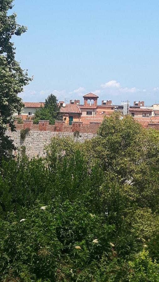Ama Casa Apartment Pisa Exterior photo